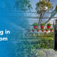 Bitki Etiketleme Tam Çiçek Açtı: Plant Center Op de Hipt, SATO ve P4IT ile Mal İşlemeyi Nasıl Modernize Etti