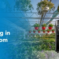 Маркировка в садоводстве: как центр растениеводства модернизировал управление товарами с помощью решения от SATO и P4IT