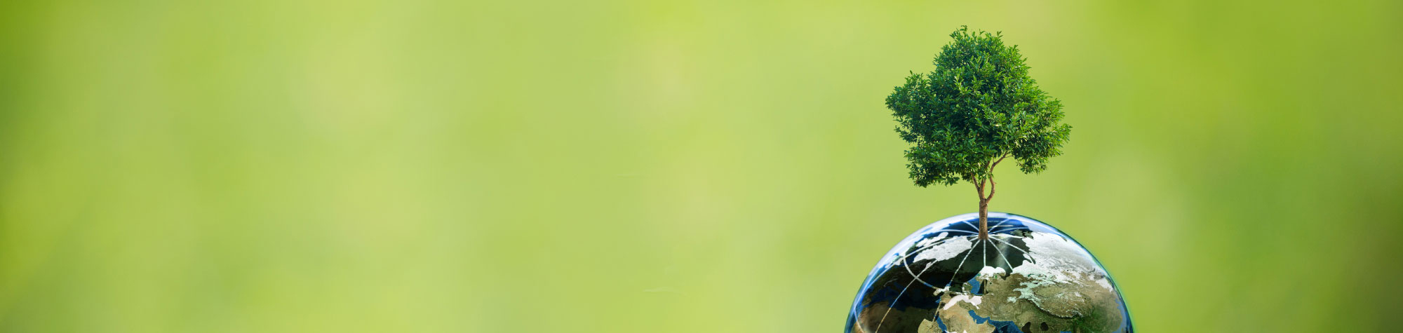 Dünya'dan büyüyen ağaç