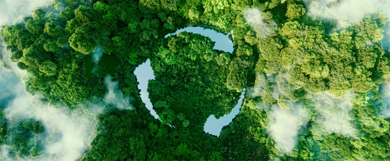 Recycling symbol in rainforest