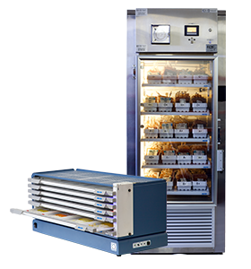 Güçlendirme Kitleri